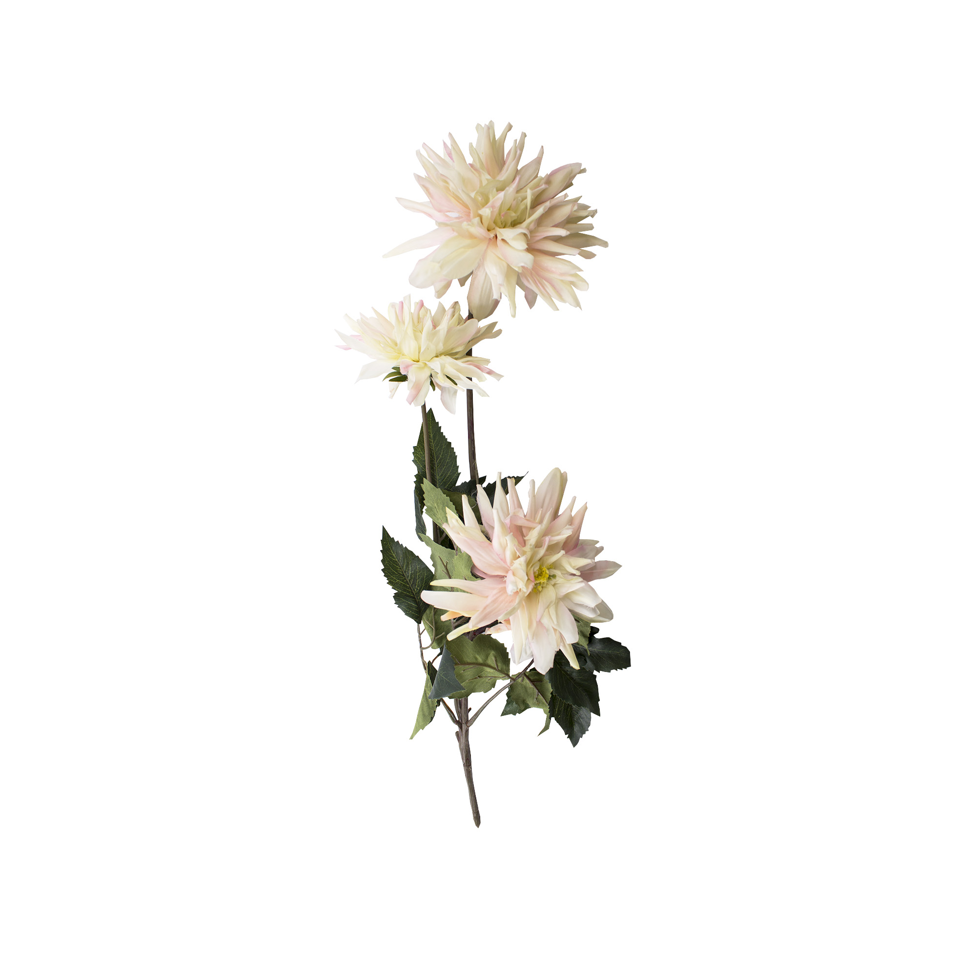 Цветок георгина купить за 3 900 рублей в Интернет-магазине Angelita
